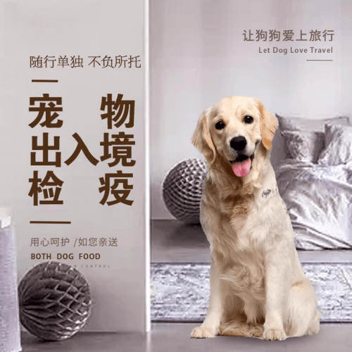 河源市宠物托运到哥伦比亚猫狗宠物入境规定和