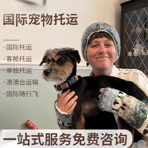 河源市国际宠物托运到阿根廷宠物入境规定和要