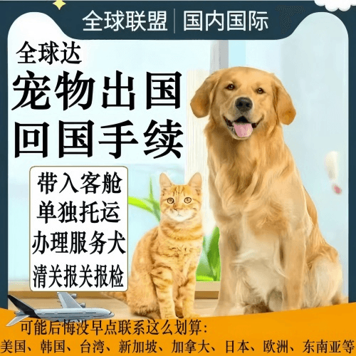 河源市宠物托运到柬埔寨宠物入境规定和要求