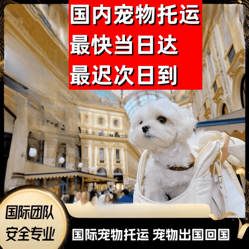 河源市到澳大利亚（澳洲）宠物入境规定和要求